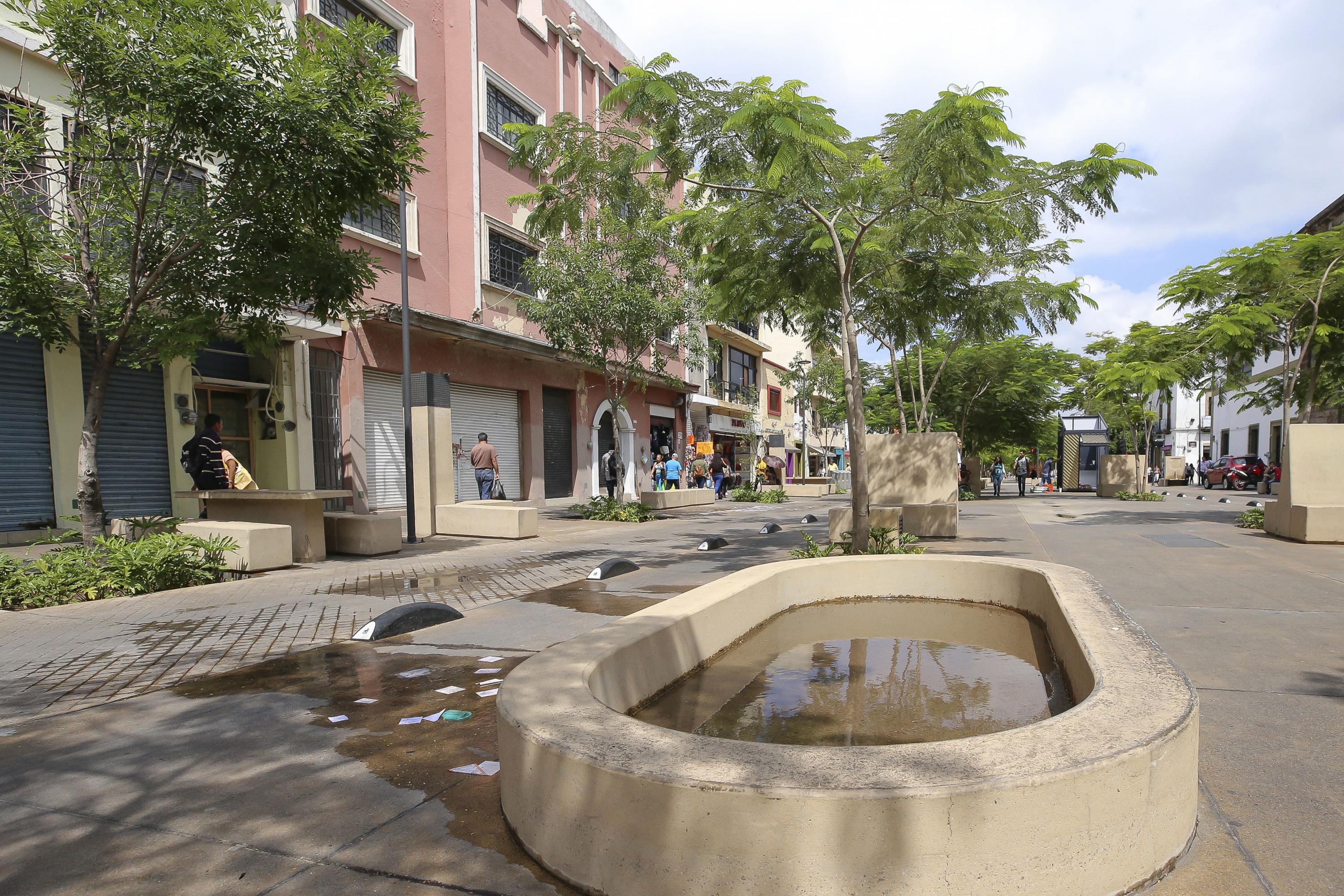 En combate al dengue se deben tomar en cuenta factores urbanos y geográficos